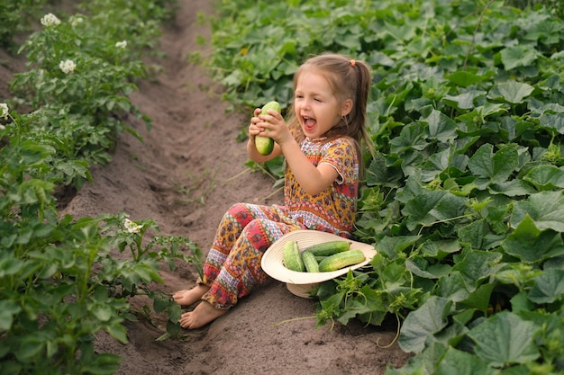 A little laughing girl holds large fresh cucumber plucked from garden