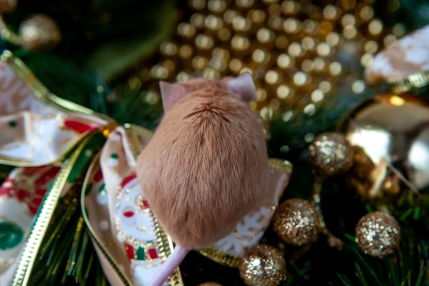 Little mouse on the background of Christmas decorations