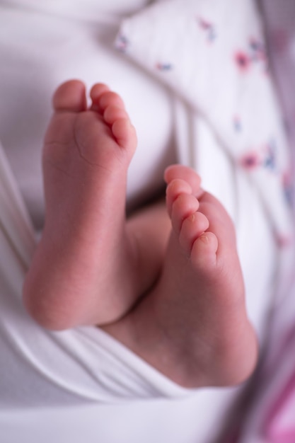 Little newborn baby feet portrait photography