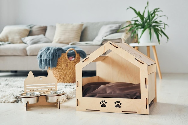 Little pet booth is on the floor in modern domestic room