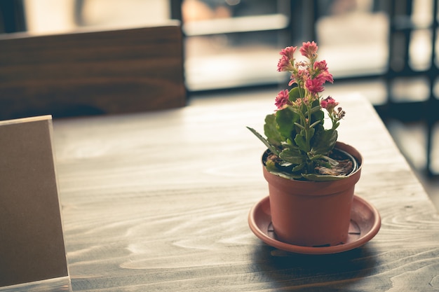 Little pink flower in a flowerpot 