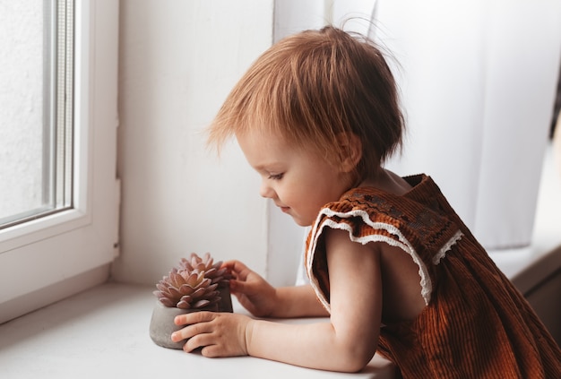 A little pretty girl examines a flower on the windowsill. Succulents in the house