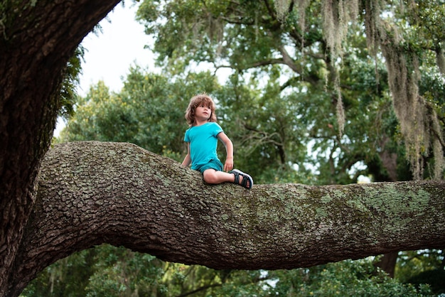 Little pretty kid boy climbing tree in the park.