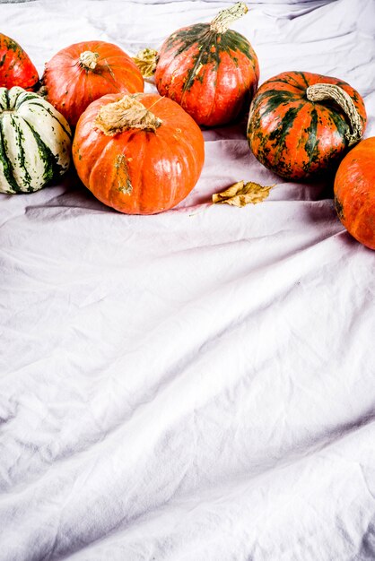 Little pumpkins on linen surface