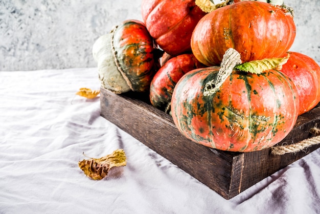 Little pumpkins on linen surface