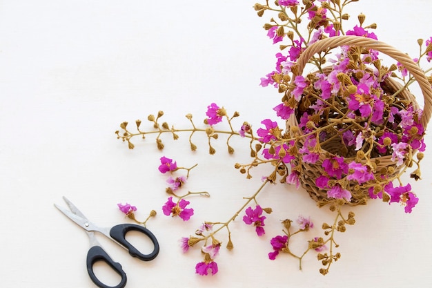 little purple flowers in basket on white