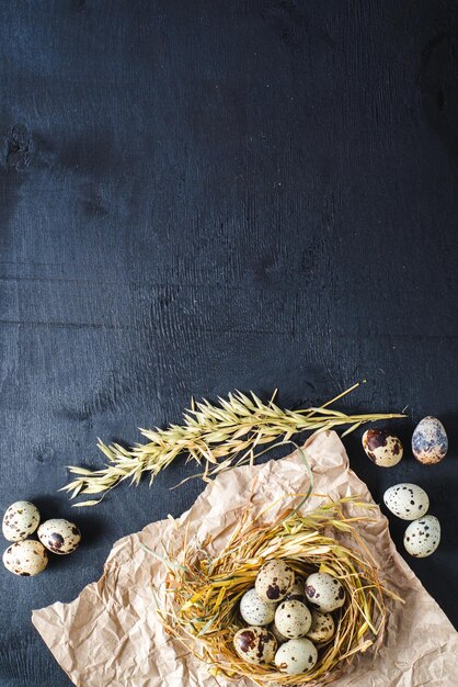 Little quail eggs in nest on black background. Copy space