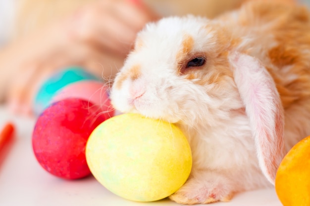 Little rabbit bunny with Colorful eggs and markers on table. Prepearing for Easter