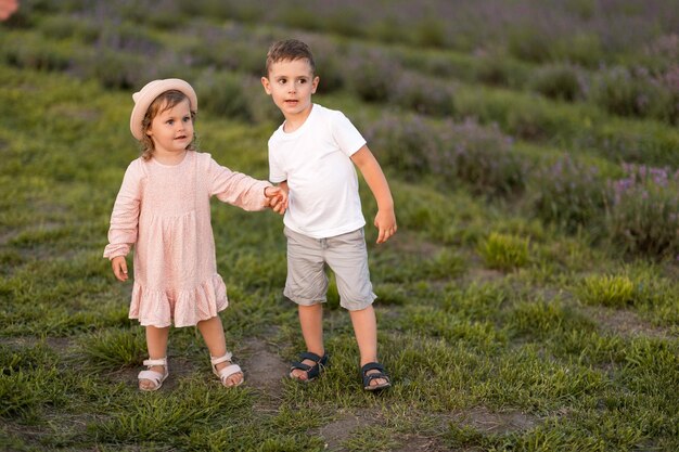 Little sister and brother are walking in a lavender field Cute children walk and hug in nature