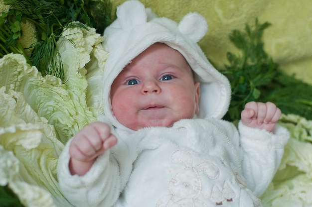 Il piccolo bambino sorridente si sdraia sulle foglie di cavolo