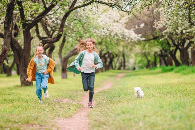 Little smiling girls playing with puppy in the park