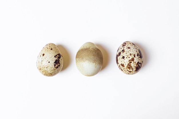 Little spotted quail eggs