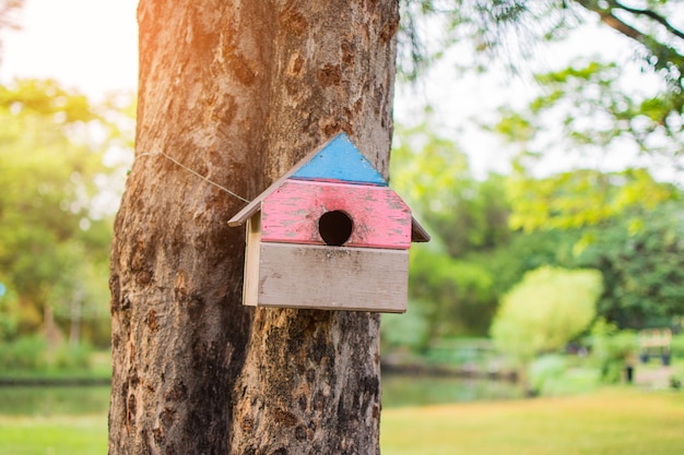 写真 リスリスツリーの木は、公園の木に。被写体がぼやけている