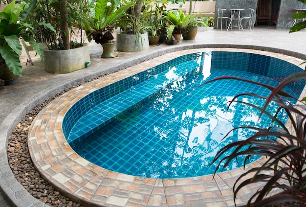 Little swimming pool in the garden