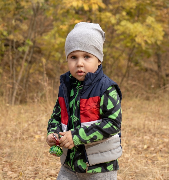 Little three years old boy outdoors portrait. Toddler boy walking in a park. Cute boy in fleece jacket and sleeveless jerkin on camping or picnic in a forest