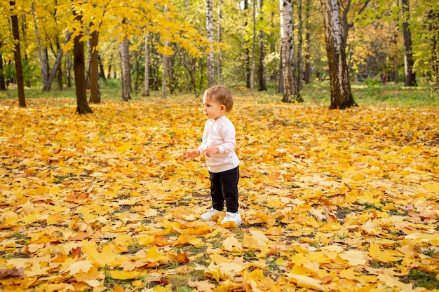 La piccola risata del bambino sta tra le foglie che cadono su un tappeto di foglie d'acero dorate cadute nel parco