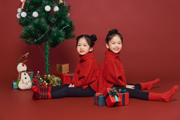 Little twin sisters celebrate the christmas holidays