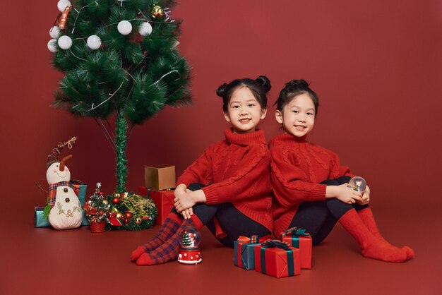 Little twin sisters celebrate the christmas holidays