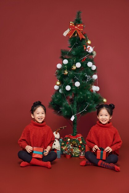 작은 쌍둥이 자매는 크리스마스 휴일을 축하합니다