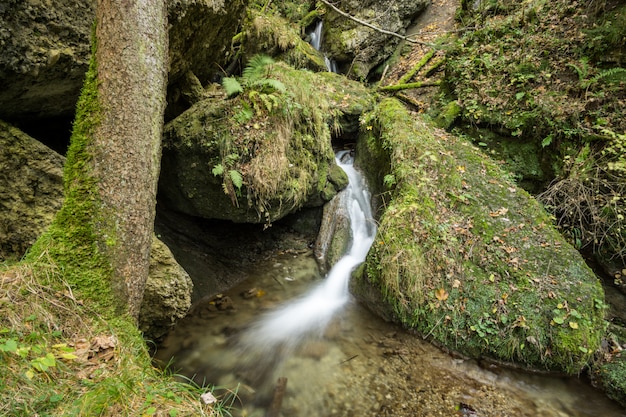 Фото Маленький сказочный водопад течет через сказочный лес