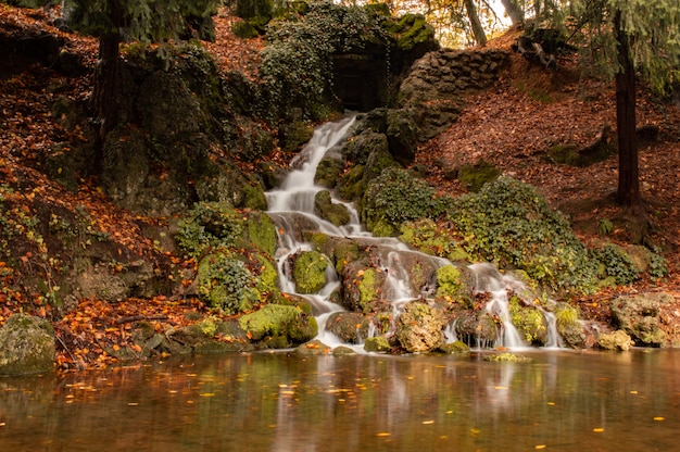 Foto piccola cascata nella foresta