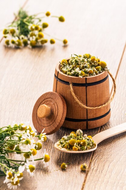 Piccola botte di legno con fiori secchi di camomilla e bouquet di camomille fresche su assi di legno