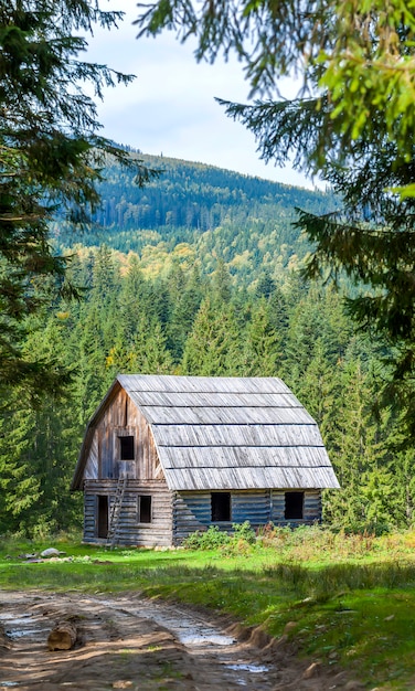 Photo little wooden house in mountain forest