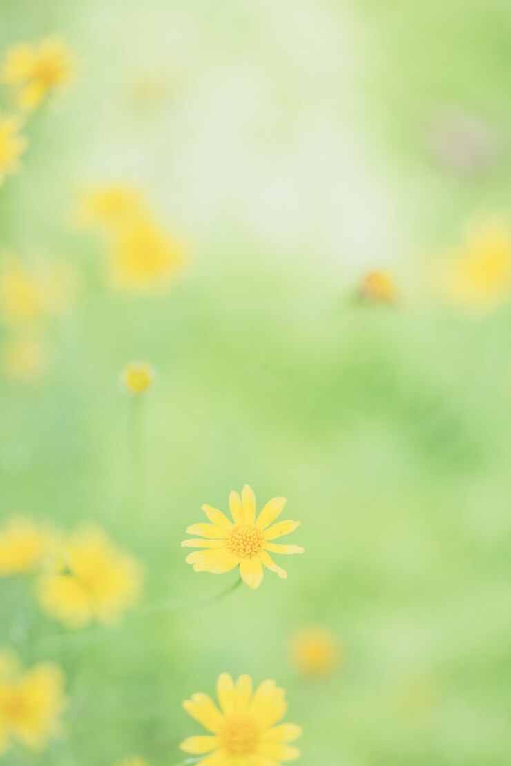 Photo ソフトフォーカスの小さな黄色い星の花