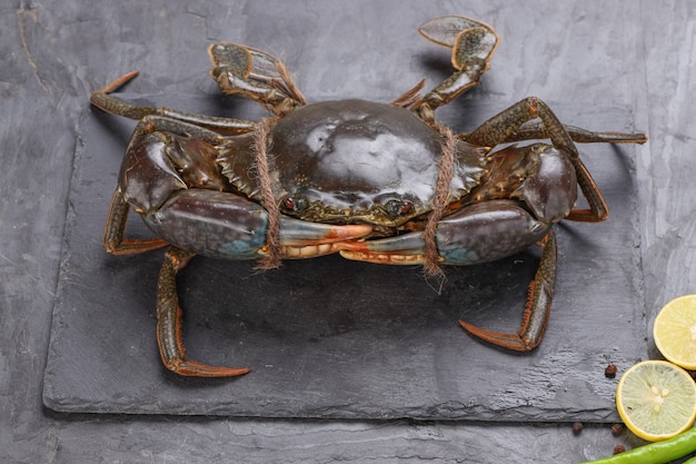 Photo live mud crab arranged on a slate or graphite sheet