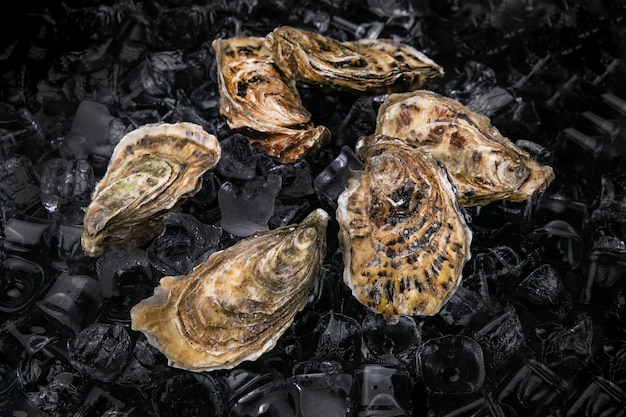 live oysters with sauce on ice