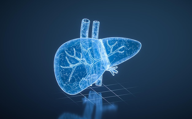 Liver organ with health care concept 3d rendering 3D illustration