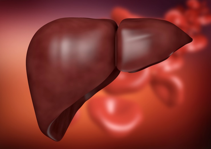 Photo liver on organic background