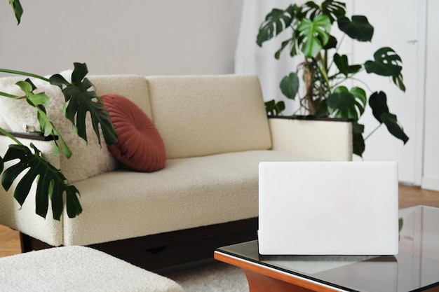 Living room interior design There is a laptop on a glass table next to a light sofa and a monstera