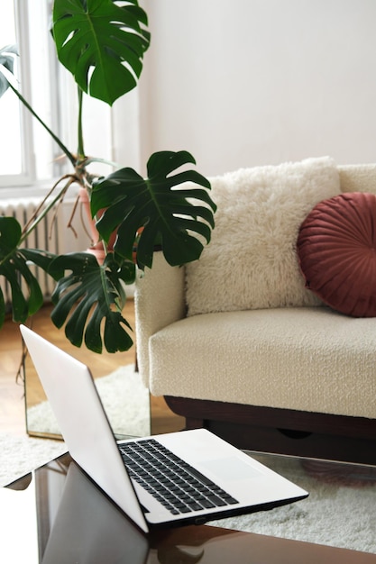 Living room interior design There is a laptop on a glass table next to a light sofa and a monstera