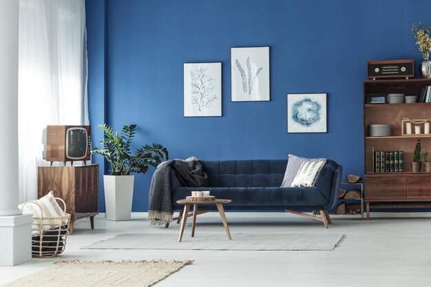 Photo a living room with a blue sofa and a tv.