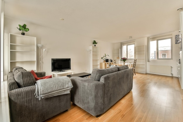 A living room with two couches and a tv