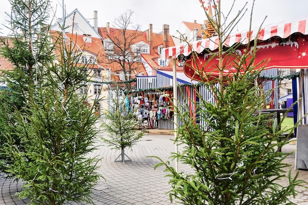 Livu-plein met kerstbomen in de oude stad van Riga in Letland. Het Livu-plein werd opgericht in 1950