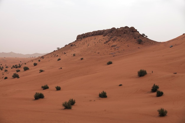 Liwawoestijn dichtbij Doubai in de V.A.E