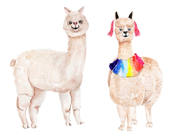 Llama peru watercolor set