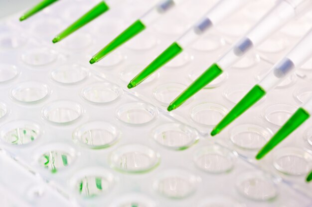 Loaded multipipette over a plate for DNA analysis