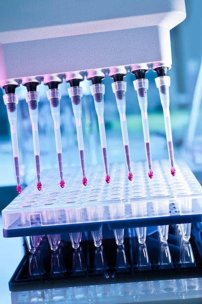 Loaded multipipette over a plate for DNA analysis