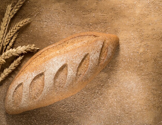 A loaf of bread with spikes on the plastered surface, top view