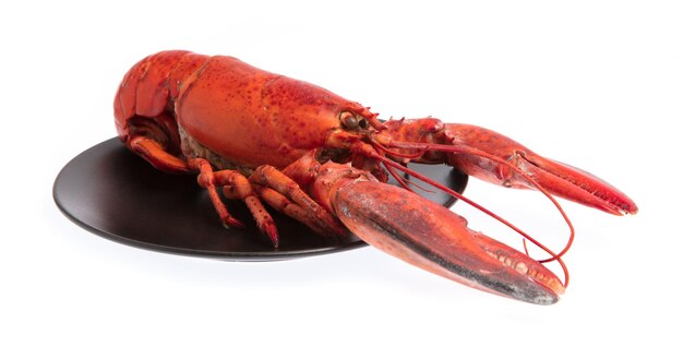 Lobster ,Boiled crayfish on dish isolated on white background