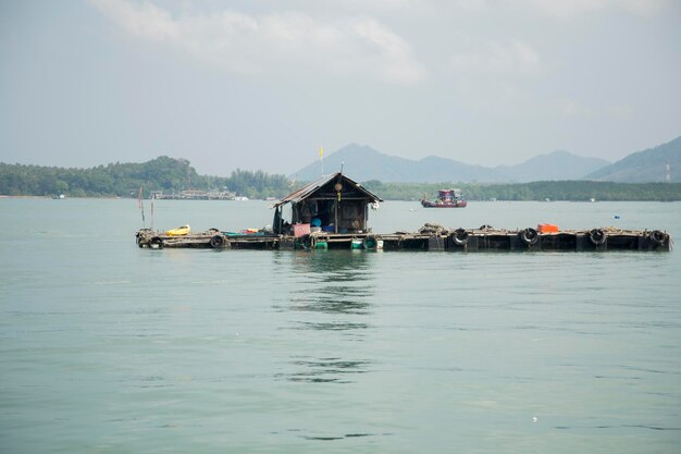 タイ南部のコ・ヤオ島のロブスター養殖場