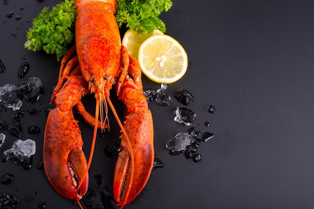 lobster food on gourmet dinner background