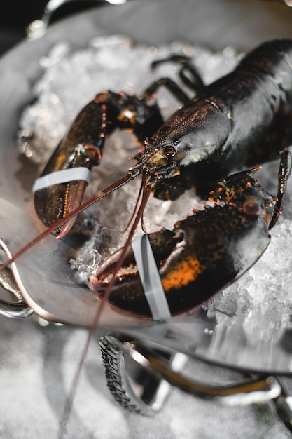 Lobster on ice. Fresh seafood. Meal presentation