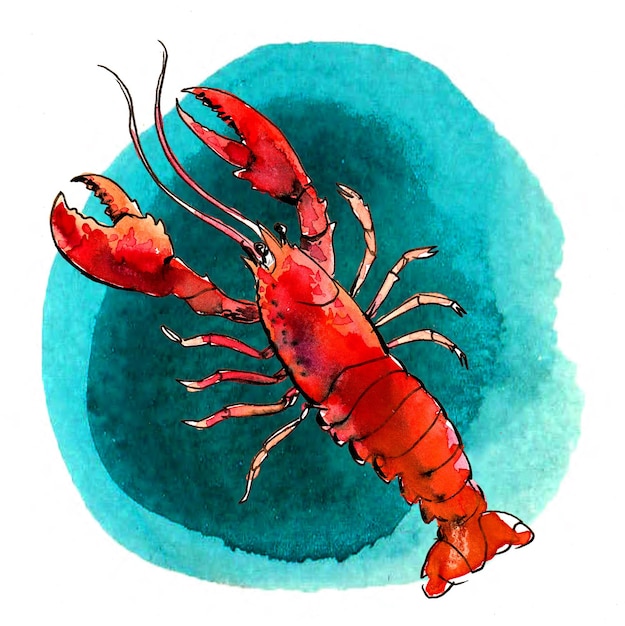 Lobster in water Handdrawn ink and watercolor sketch