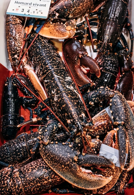 Photo lobster with price label, close-up