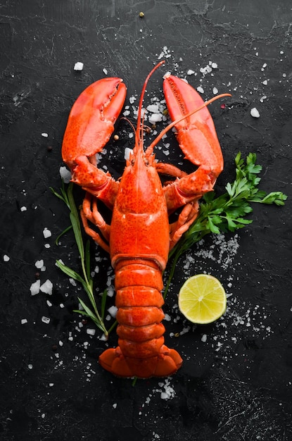 Lobster with spices on a dark background Top view Free copy space