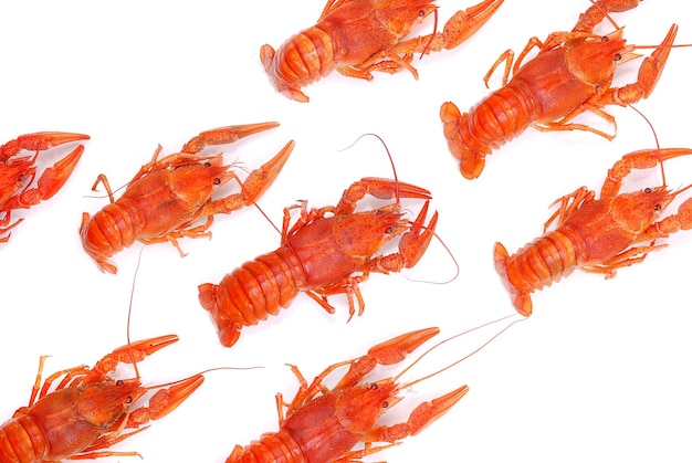 Lobsters background